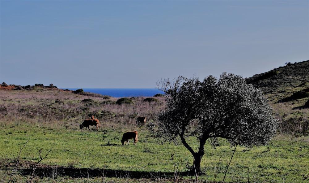 Praia Do Burgau Exteriér fotografie